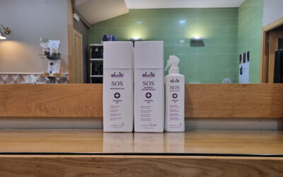 ¿Cómo recuperamos un cabello y/o puntas dañadas?